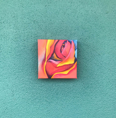 Cosmic Flow No. 1