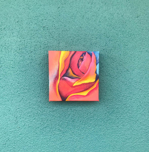 Cosmic Flow No. 1