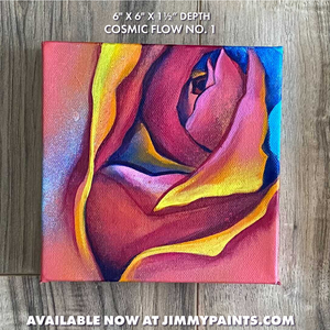 Cosmic Flow No. 1